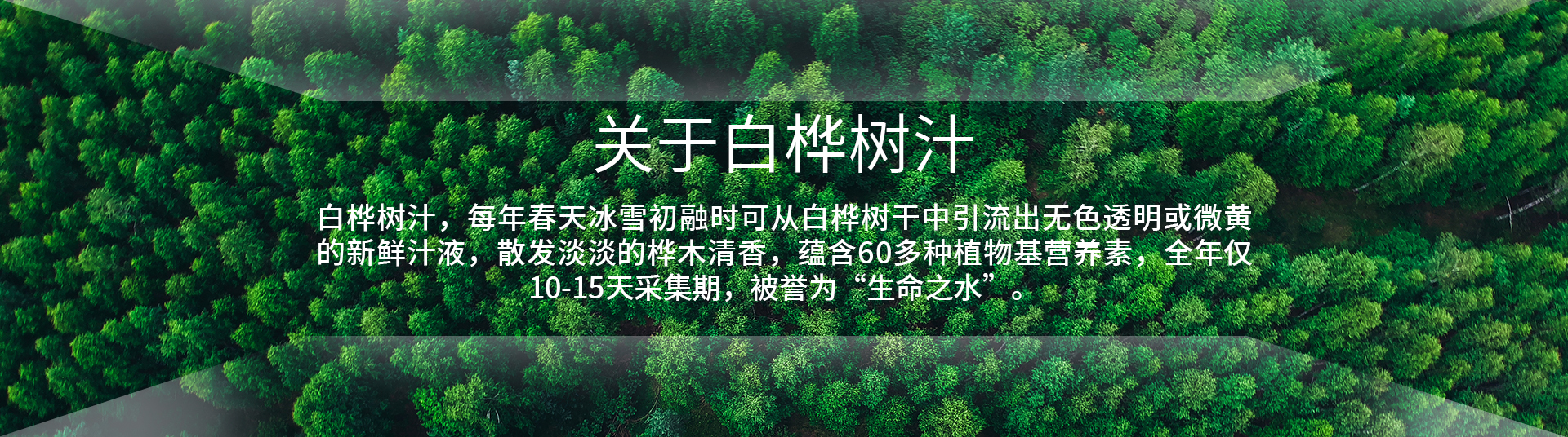 广告标题